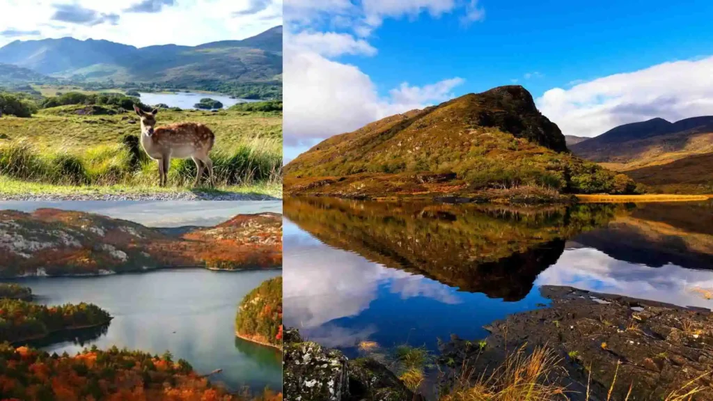 33 Best Things to Do in Kerry, Ireland in 2026 Guide Visit Killarney National Park