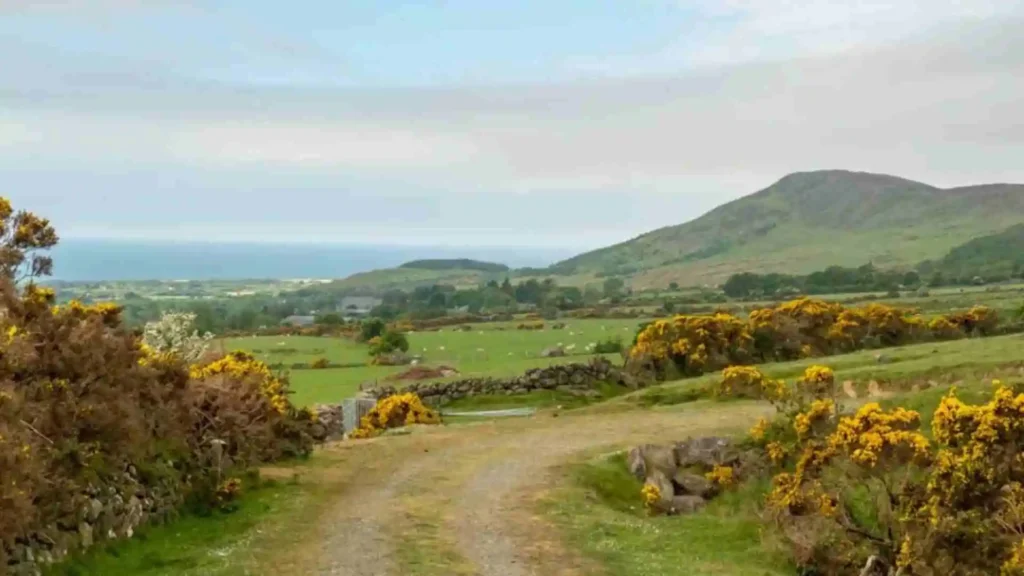 Slieve Foye Loop hike: Routes, Maps And travel TipsĀ image7 7