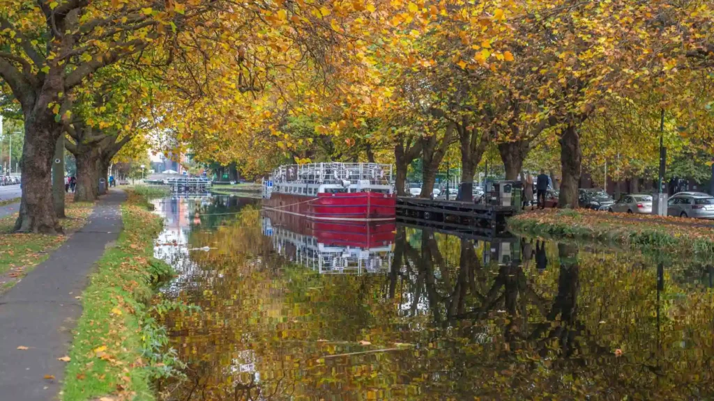 Grand Canal Dock Dublin Guide | Things to Do, Food, and Travel Tips Grand Canal Dock Worth Visiting