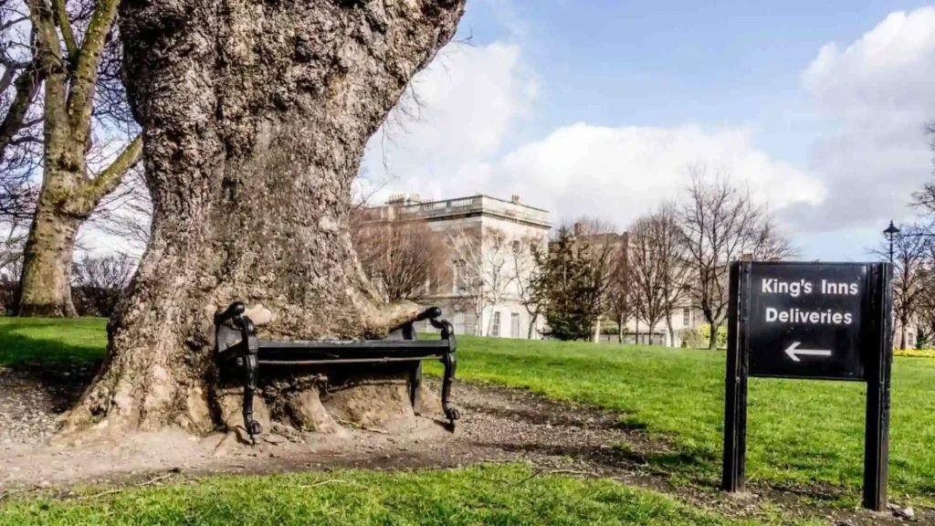 Hidden Gems in Ireland: Explore Beyond the Crowds The Hungry Tree