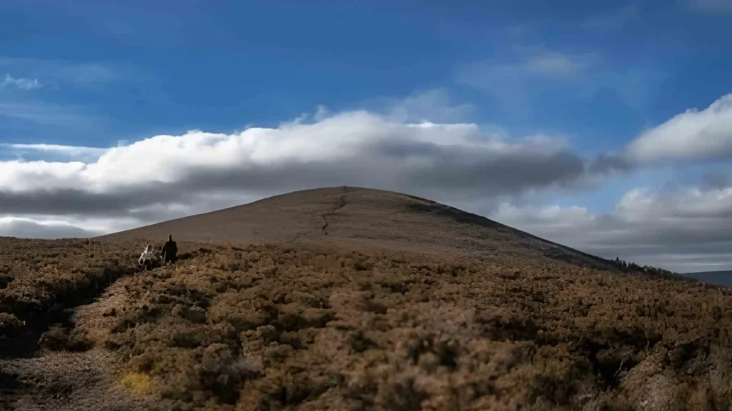 Crone Woods Hiking Guide: Loop Trail, Parking and Route Guide The Crone Woods And Maulin Mountain Hiking Route
