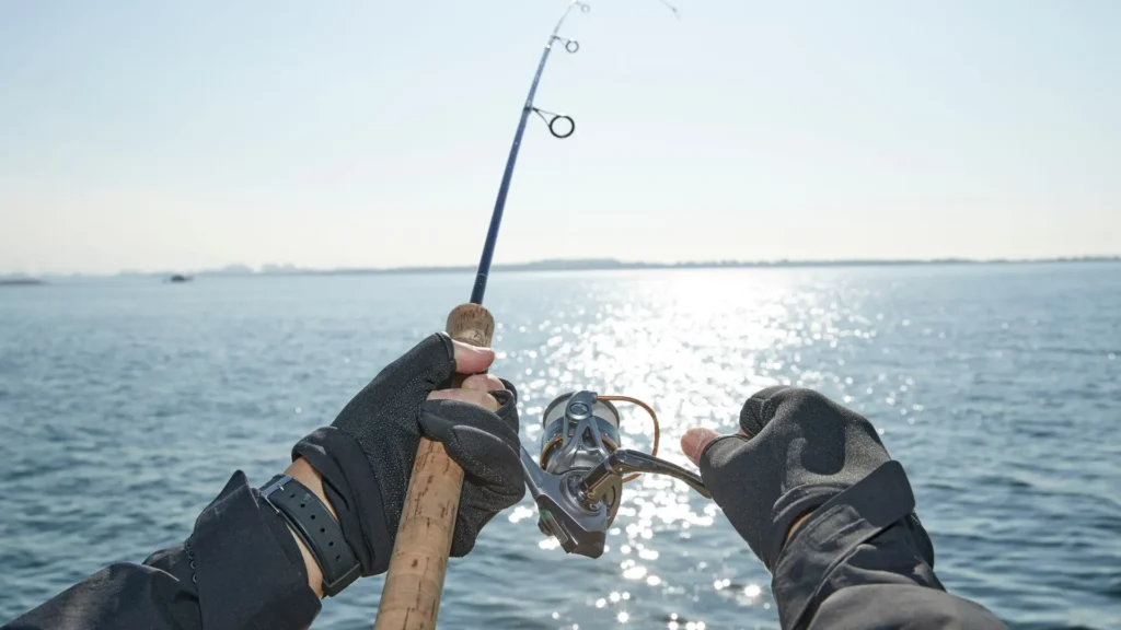 Water Fun: Fishing and Boat Trips
