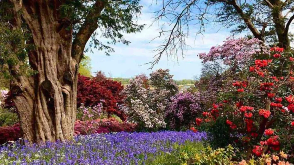 Mount Congreve