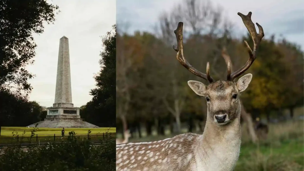 History of Phoenix Park