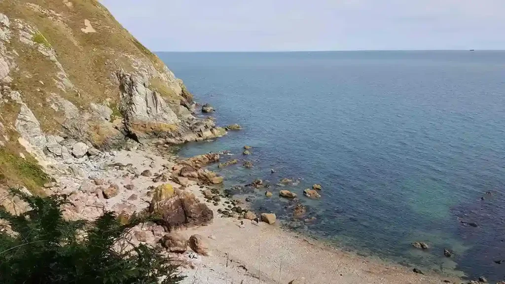 Things To Do In Howth For A Perfect Day Trip From Dublin Water Experiences and Wildlife