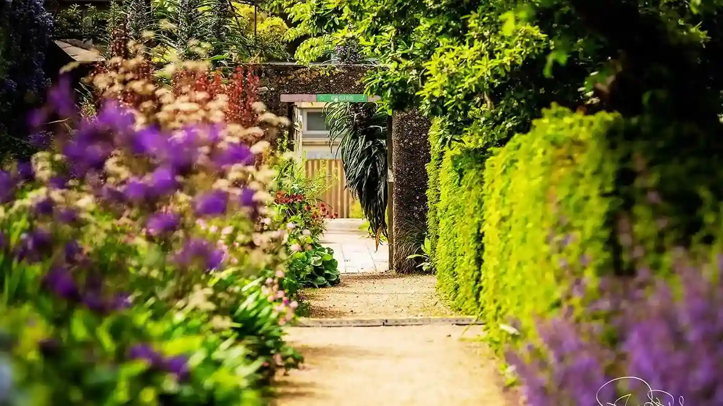 Airfield Estate Dublin