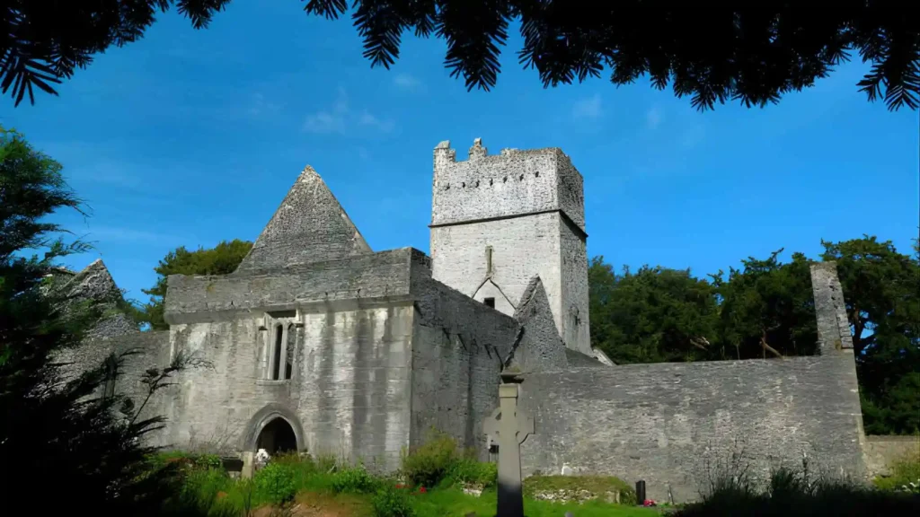Muckross Abbey Loop
