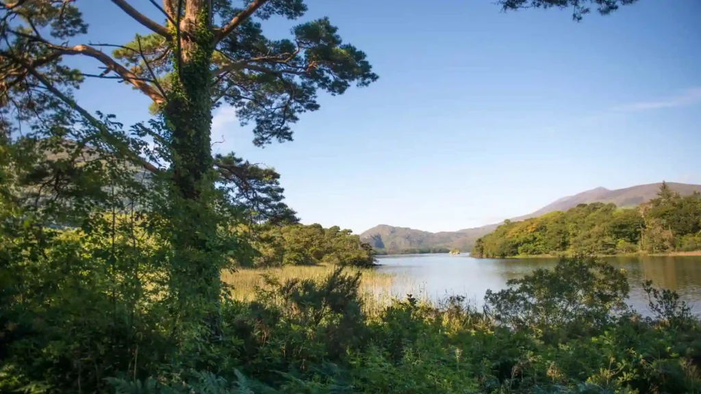 hikes in Killarney National Park