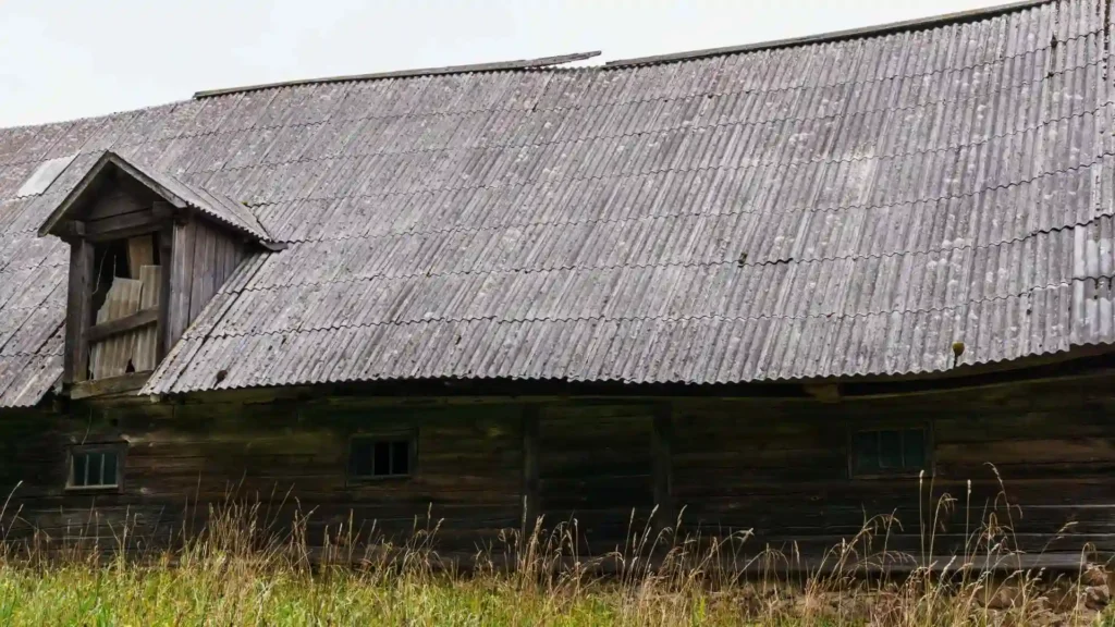National Heritage Park: Explore the History, Culture, and Nature Early Christian Ireland