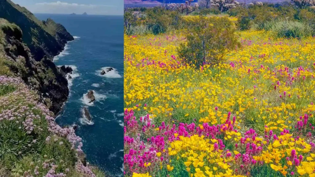 Fogher Cliffs Ireland Guide: Walks, Views and Travel Tips Best Time to Visit Fogher Cliffs