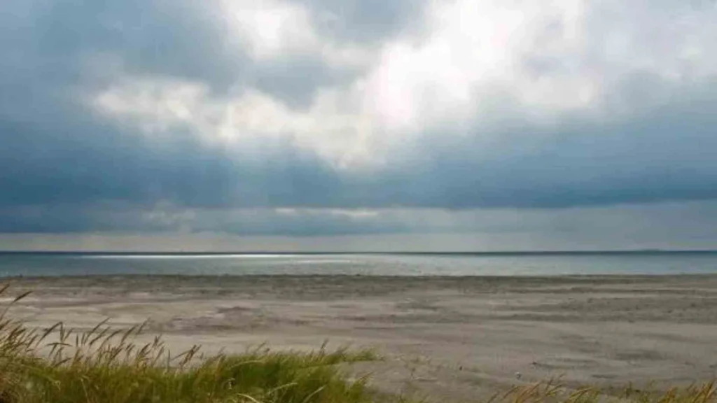 Best places to visit near Bettystown