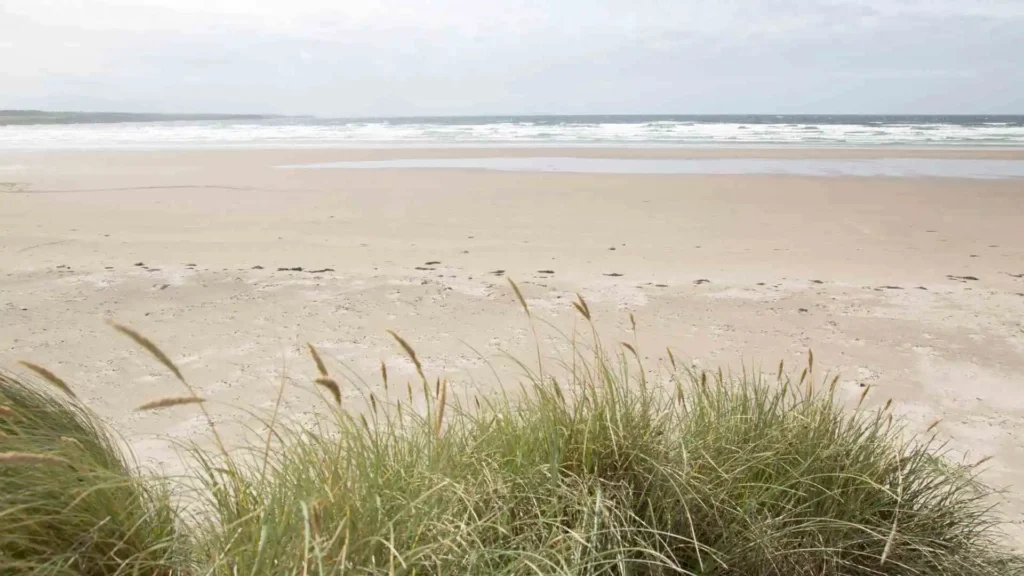 Best Beaches in Donegal Ireland Travel Guide Rossnowlagh Beach