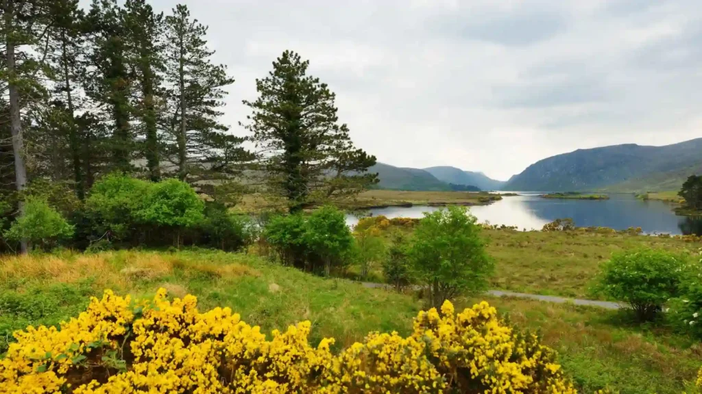 Glenveagh National Park (35-minute drive)