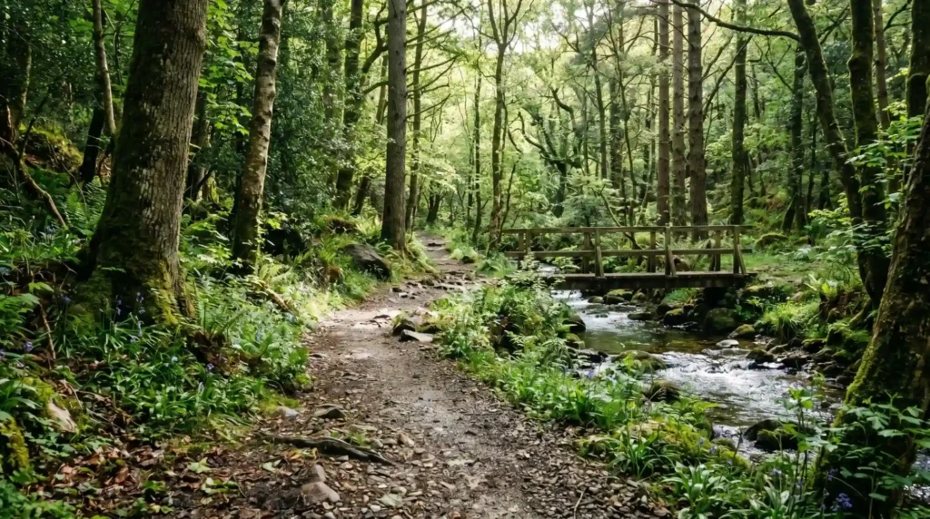 Glenevin Waterfall Donegal Guide, Walk, Parking, Nearby Spots The Glenevin Waterfall Walk