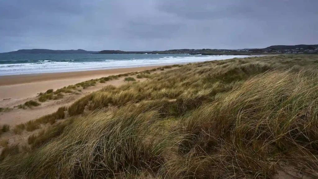 Rossnowlagh Beach | The famous blue flag beach in Donegal Where is Rossnowlagh Beach?