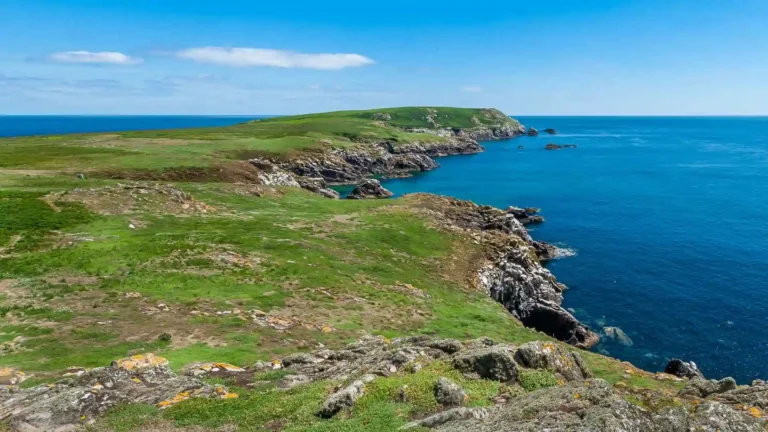 Saltee Islands