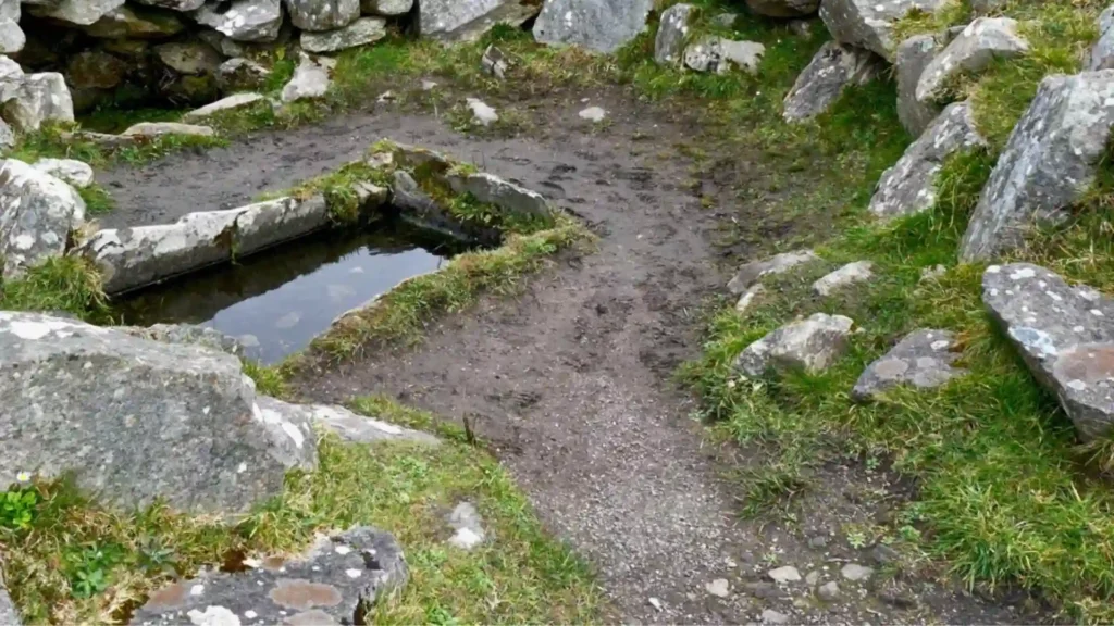 Fulacht Fiadh