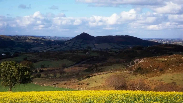 Slieve Gullion
