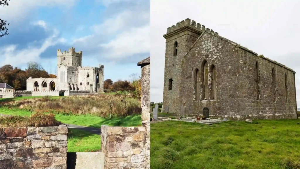 Irish National Heritage Park Selskar Abbey