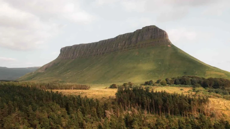 Benbulben Forest Walk