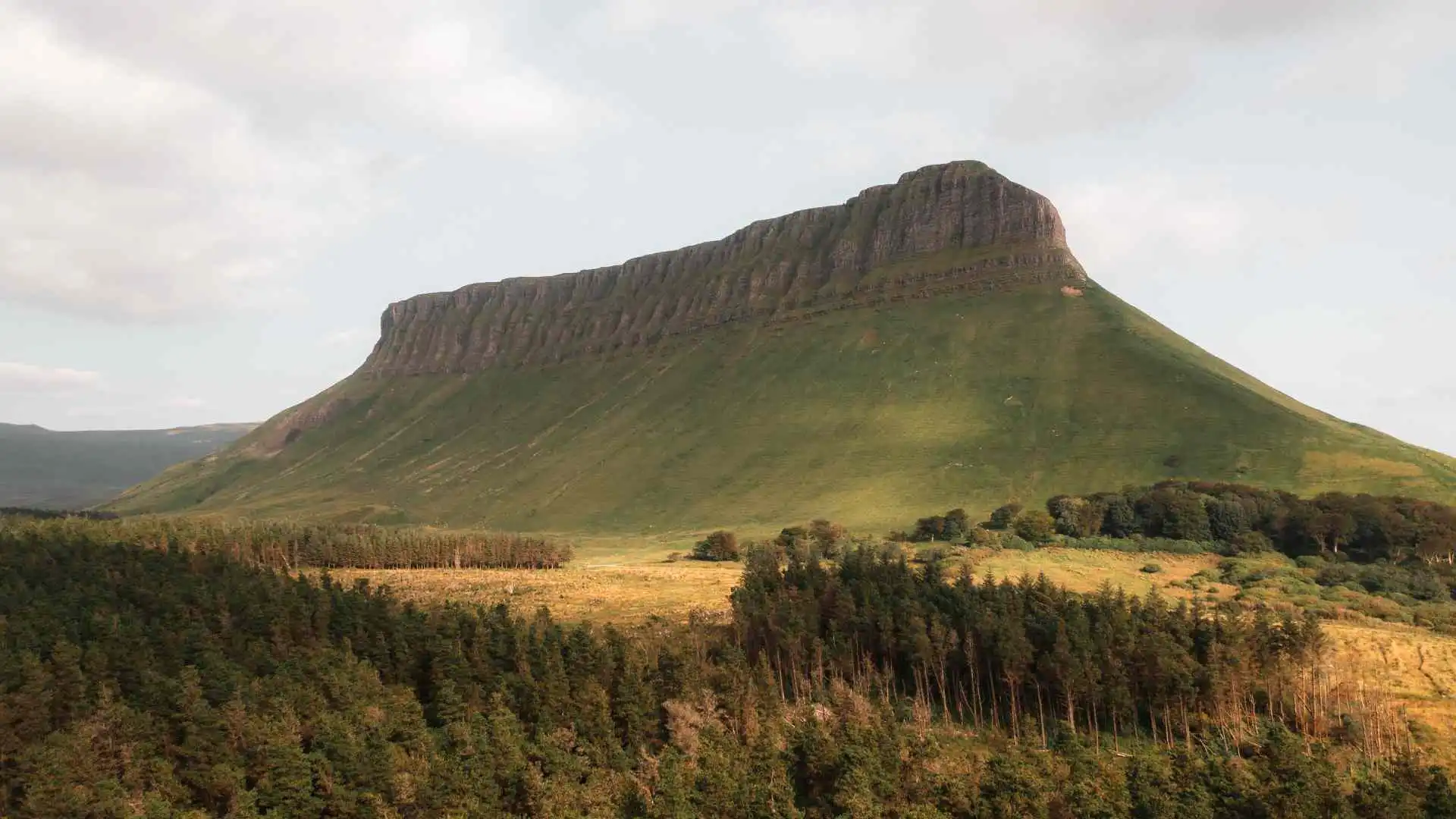 Benbulben Forest Walk