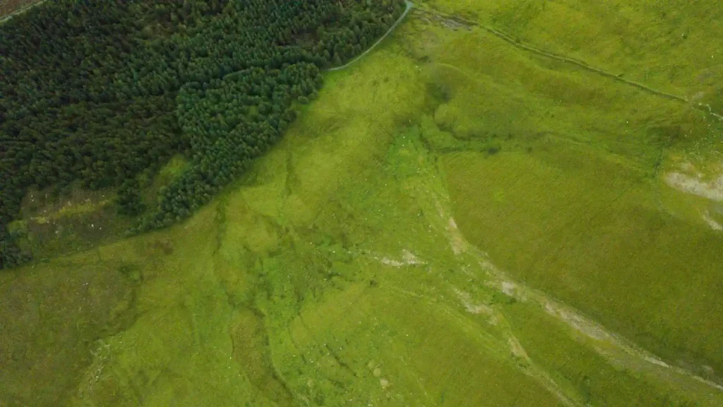 Our thoughts on hiking the Benbulben Forest Walk